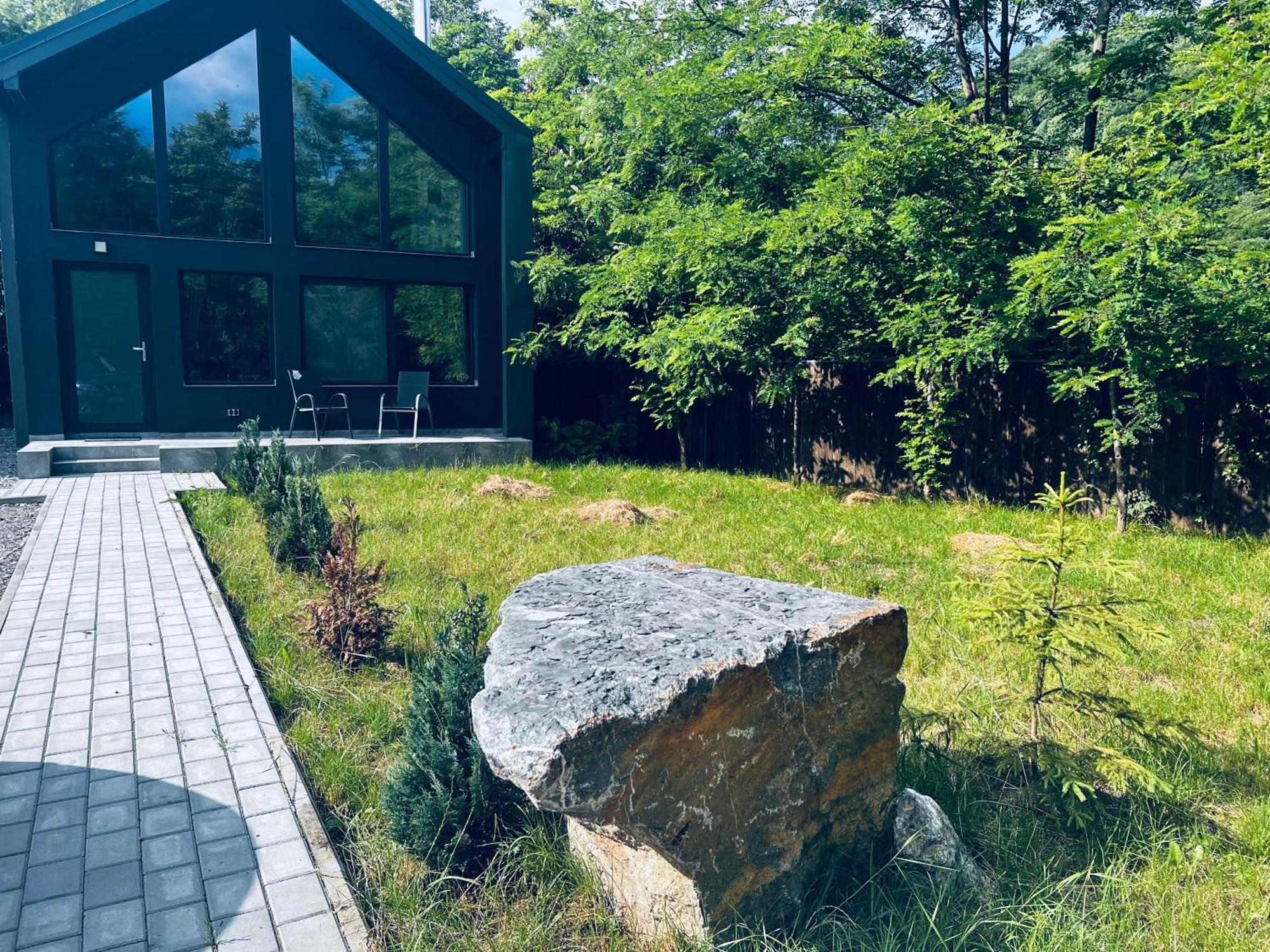 Oxigen Dream Villa Rîşnov Dış mekan fotoğraf